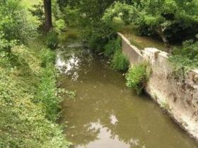 You are currently viewing L’Argent, rivière d’Argenton-Château et son affluent « le Dolo », rivière de Bressuire